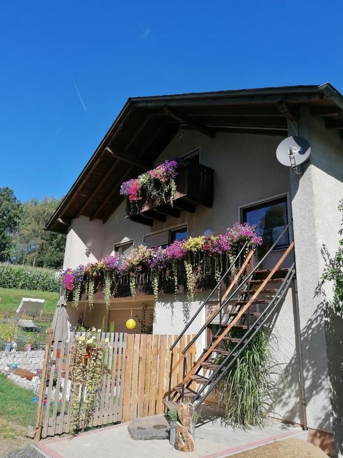 Ferienwohnung Egelkraut Schwarzenbach an der Saale Экстерьер фото